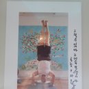 바보야 죽으면 늙어야지&#34; 이왈종 화백의 코믹 파격 제주 생활의 중도(Lee Wal Chong&#39;s Golden Mean of...