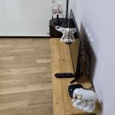 산수미 | 산수미펜션 후기 : 안동으로 힐링 여행 다녀왔어요