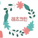 로하스클리닝