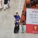 용인운수(주) | 호주에서 살아남기 1편_운수좋은 날 (부제 : 다시 시작되는 일상 일기)