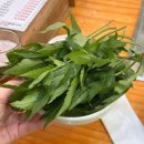 장어골(풍천민물장어) | 일산 화정에서 부모님이랑 자주 가는 단골 장어집, 풍천민물장어직판장 후기