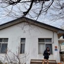연미네백반 | 20230215-17 친구랑 제주도 2박 3일 둘째 날 || 제주알프스렌트카, 단소, 곽지해수욕장, 애월카페모노...