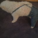 보쉬세차장 이미지