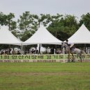베르아델승마클럽(주)