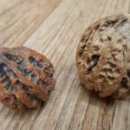 호두미디어 이미지