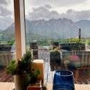 로카와 델피노1 이미지