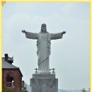 사랑의 날개 이미지