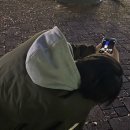 롱타임노씨 이미지