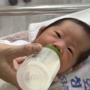 효성의원 | [24年 1月] 대구 효성병원 서채아 출생기