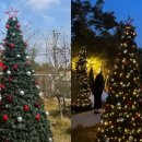 늘푸른 관광농원 이미지