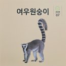 안다과학- 여우일까?원숭이일까? 이미지