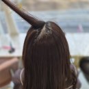 살롱더함 | 정릉동 미용실 살롱더함에서 한 뿌리염색과 아윤채 클리닉 후기