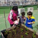 화곡본동주민센터 이미지