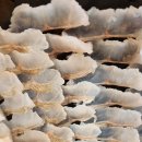 성진 | 속초시맛집, 대포항횟집 성진활어 방문 후기 | 싱싱함과 푸짐함 다 잡은 활어회 맛집