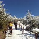 청주 목요산악회 2016년 1월 산행안내 이미지