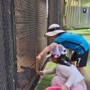 드림한우농장 이미지