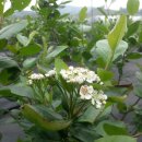 청성농장 이미지