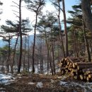 단양군산림조합 이미지