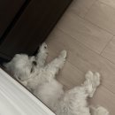 가을아 어서 와~