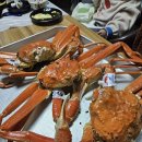 영덕대게 이미지