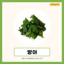 한국농약사 이미지