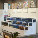 미항로 | [목포 맛집] ‘목포씨’·평화광장맛집·목포조개구이·목포해산물맛집·목포오션뷰식당