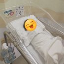 까치소리 | 분당제일여성병원 제왕절개 1인실 일일조리원 4박5일 입원 출산한 생생한 후기