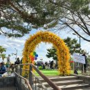 팔각정 입구 | 3월 서울 개나리명소 응봉산 팔각정 개나리축제 날짜 야경 주차