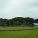 대리마을(2) 이미지