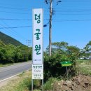 덩굴원법인