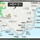 (3.27.토) 해운대 문탠로드, 미포, 청사포, 구덕포... 삼포걷기 도보산행(해운대지하철역 오후4시) 이미지