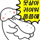 무더운 가을, 그리고 책 📚