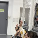 레인보우줄넘기&합기도양우관