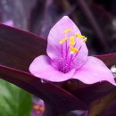 여울공원 이미지