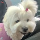 궁전모텔 | [경북 구미] 궁전모텔 후기 (남친이 여기 가자고 하면 헤어지시오)