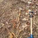 은산한의원 이미지