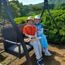 오감滿足, 지식眞勺, 심신鍛鍊, 식道樂, 친교增大의 장을 펼치다 - 이연순(의류 패션) 이미지