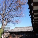 황리단길 생활문화센터 동호회룸 | 경주 황리단길 감성 한옥카페 스컹크웍스 사진 맛집