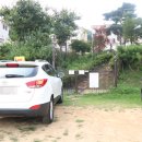 타요타요 펫택시 이미지