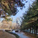 내가 더 이미지