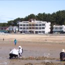 장미펜션 이미지