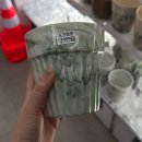 백화화원 | 다이소 화분, 마블무늬 가성비 토분 추천!