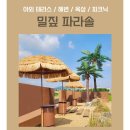 인테리어정원 이미지