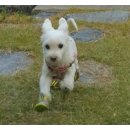 오창호수약국 이미지