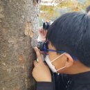 공원복권 이미지