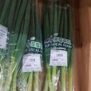 하귤과보리 이미지