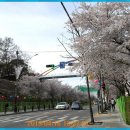 은혜병원 이미지