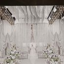 벨라 | 안양 밝은 웨딩홀 파티오벨라 견적 상담 후기