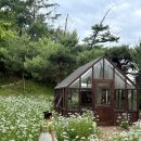 마니무 | 천안 이숲 샤스타데이지 핫플 카페 26년도 후기💚