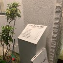카페드블랑 - 장성군 나노산단1로 46-2 | 카페드블랑